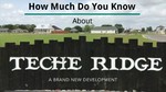 What is Teche Ridge